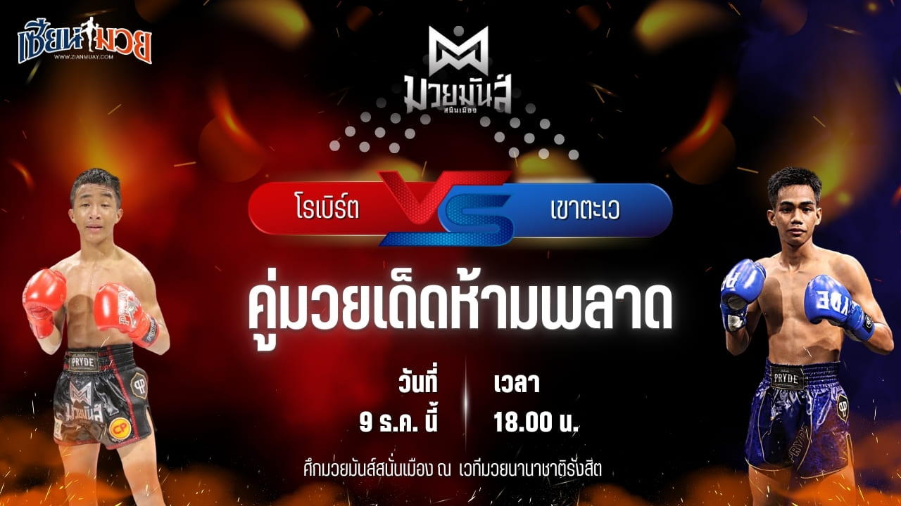 วิเคราะห์มวยวันนี้ ศึกมวยมันส์สนั่นเมือง เป็นการพบกันระหว่าง โรเบิร์ต ปานนิวัฒน์มวยไทย พบ เขาตะเว ทาวน์อินทาวน์ยิม