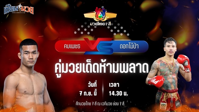 วิเคราะห์มวยวันนี้ ศึกมวยไทย 7 สี เป็นการพบกันระหว่าง คมเพชร ศิษย์สารวัตรเสือ และ ดอกไม้ป่า สันติอุบล