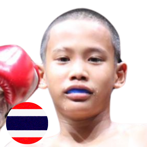 เพชรกาฟิวส์ หิมทางด่วน