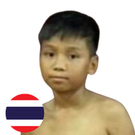 เพชรกีต้าร์ พยัคฆ์ลำพอง