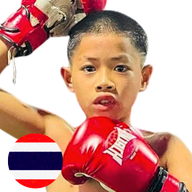 เพชรดอยงาม ศ.เดชพิชิต