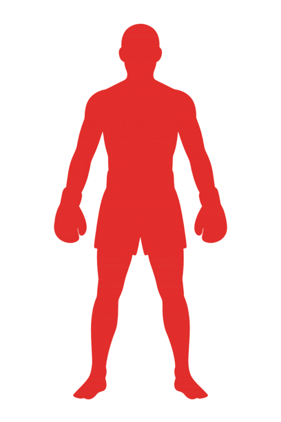 fighter silhouette