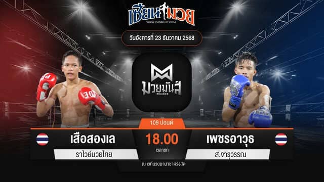 ไฮไลท์มวยศึกมวยมันส์สนั่นเมือง ระหว่าง เสือสองเล ราไวย์มวยไทย พบ เพชรอาวุธ ส.จารุวรรณ